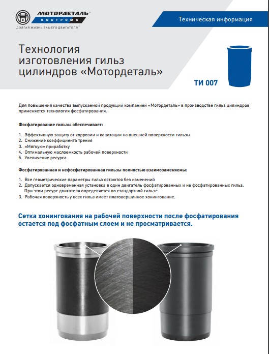 ГИЛЬЗЫ 2.jpg